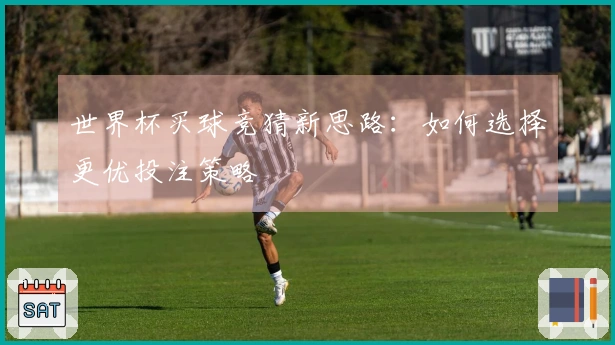 世界杯买球竞猜新思路：如何选择更优投注策略