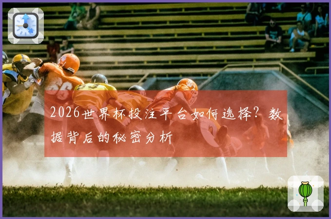 2026世界杯投注平台如何选择？数据背后的秘密分析
