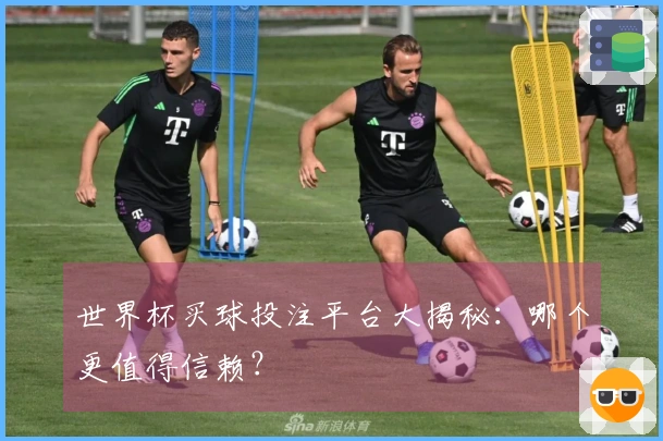 世界杯买球投注平台大揭秘：哪个更值得信赖？
