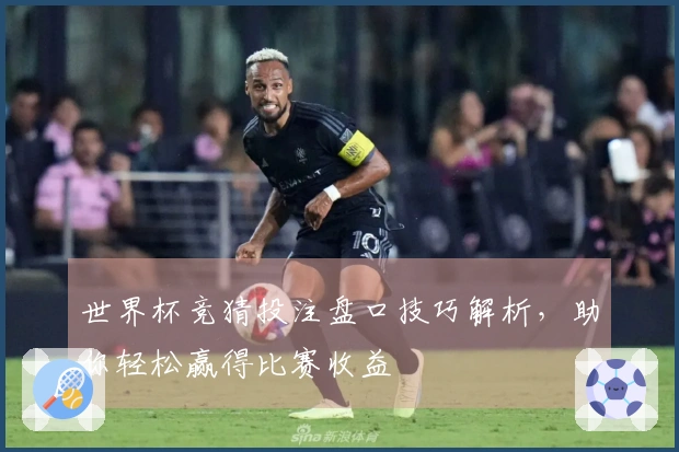 世界杯竞猜投注盘口技巧解析,助你轻松赢得比赛收益