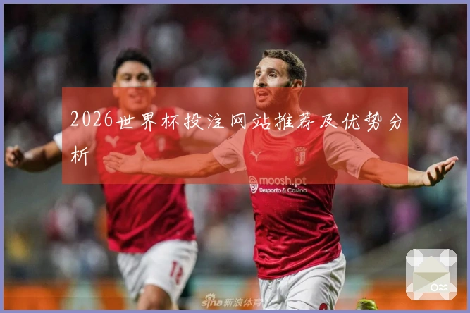 2026世界杯投注网站推荐及优势分析
