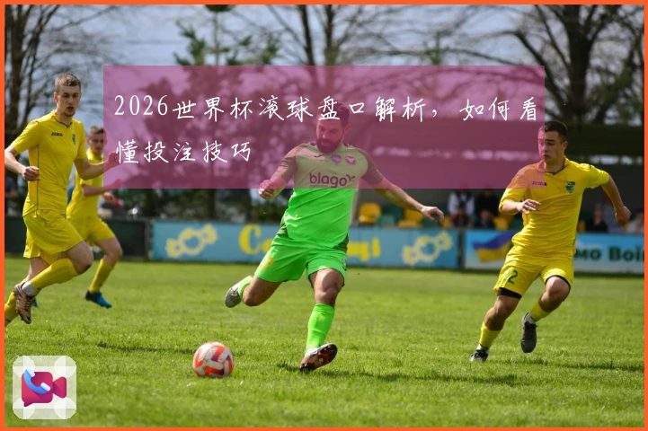 2026世界杯滚球盘口解析，如何看懂投注技巧