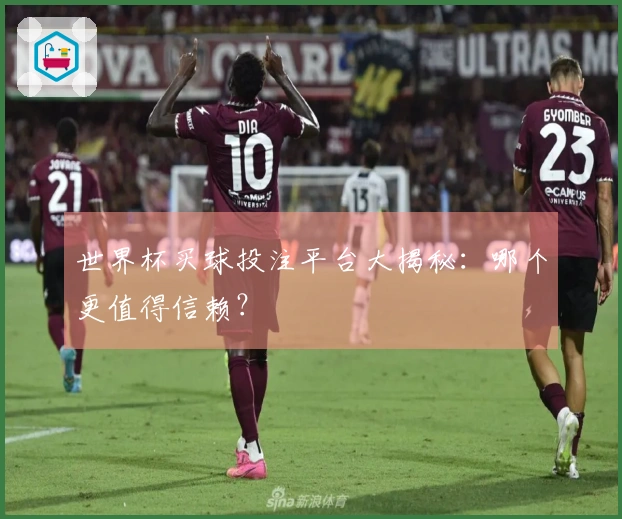 世界杯买球投注平台大揭秘：哪个更值得信赖？