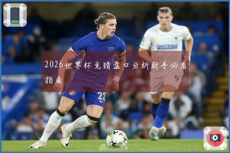 2026世界杯竞猜盘口分析新手必看指南